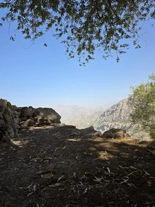 هانه وه ز