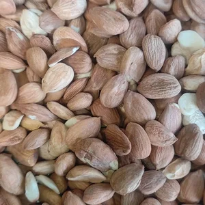 آجیل و خشکبار بابایی - بابآجیل 3