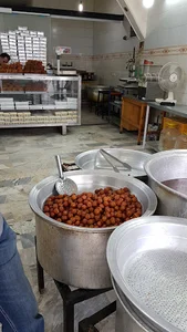 بامیا داغ ناصری