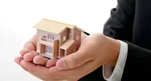 املاک اریا محمدی