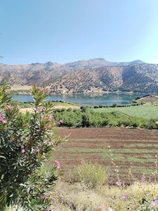 مسجد حضرت محمد(ص)