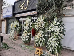 گل سپیدار
