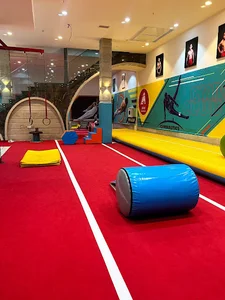 باشگاه ژیمناستیک جیلو شعبه معلم
