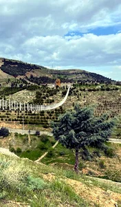 Abidar Suspension Bridge