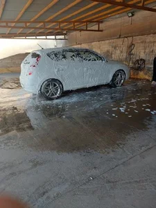 کارواش گلها 4