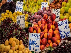 تعاونی منصوری