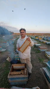 عسل سبلان – کندو مظفری (Royal Jelly & Honey)