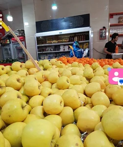بازارمیوه تره بار بلوار فردوس