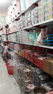 پلاسکو ضیایی