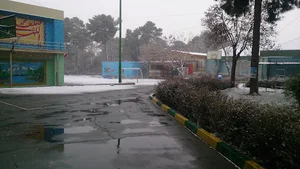 دبیرستان نمونه دولتی رشد پسران