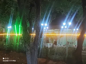 گلخانه 2