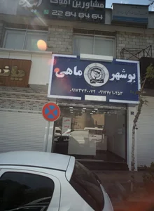 بوشهر ماهی
