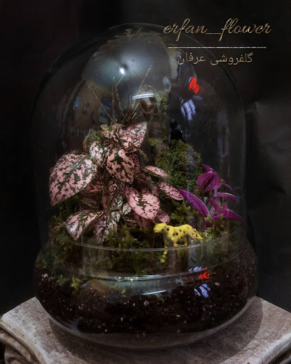 گلفروشی عرفان