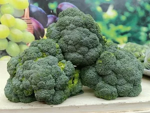 میوه سرای ابوالفضل 5