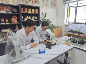 پژوهش سرای رویان
