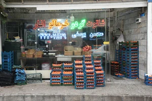 شاهتوت یوسفی