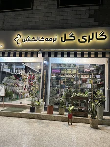 گل فروشی ترمه کالکشن
