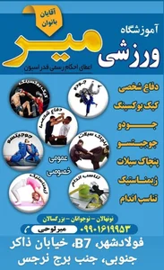 باشگاه ورزشی میر 2