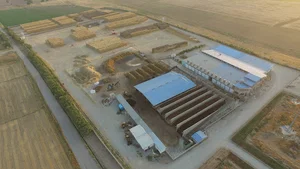 سهیل کمپوست
