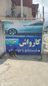 کارواش میردار