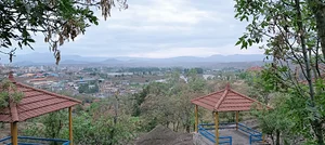 پارک جنگلی