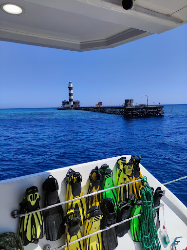 Blue Shades Diving
