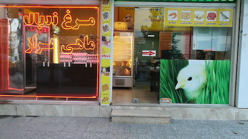 نمایندگی مرغ زربال (چناری)
