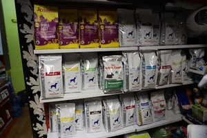 کلینیک دامپزشکی افرا