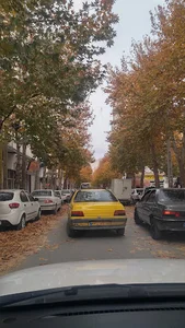 میدان شاهد
