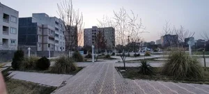 پارک نور 2