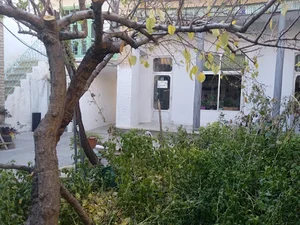 آموزشگاه موسیقی نکیسا