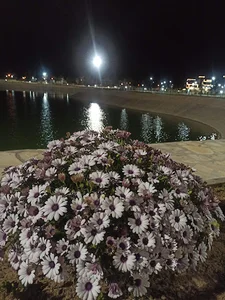 دریاچه مصنوعی