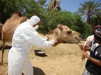 کلینیک دامپزشکی پونه