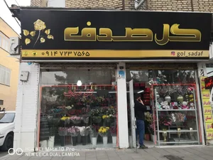 گل فروشی صدف 2