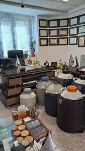 شرکت کارانوژن