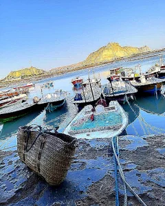 اسکله تیس