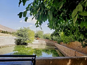 چشمه حوض ماهی
