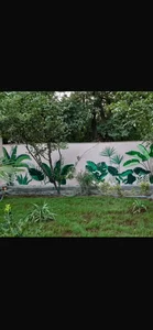 نقاشی ساختمان در سازمان برنامه جنوبی 2