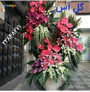 گل آس