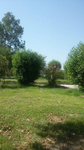 پارک شهرداری