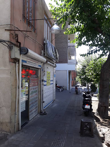 کافی نت فرهنگ مجید سیدجوادی