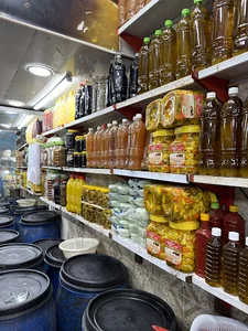 زیتون سرای دلیلی