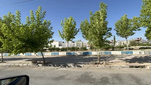 پارک ملت