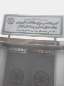 شرکت خدمات حمایتی کشاورزی استان گیلان