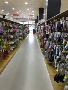 فروشگاه خانه و کاشانه