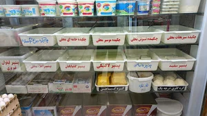 لبنیات همیشه سبز