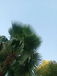 پارک بانوان آنا