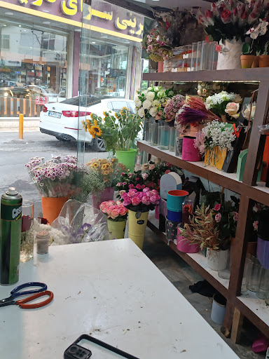 شکیبا شاپینگ