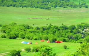 بوستان جهان نما