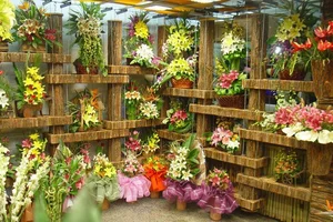گل فروشی ارکیده